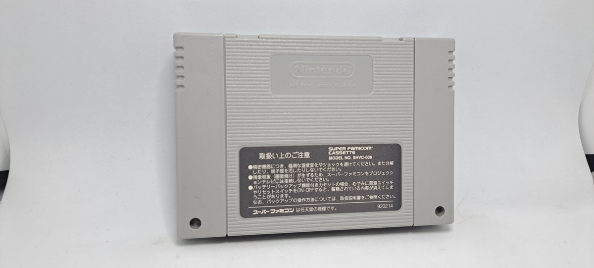 Shin megami Tensei If.... (Super Famicom)